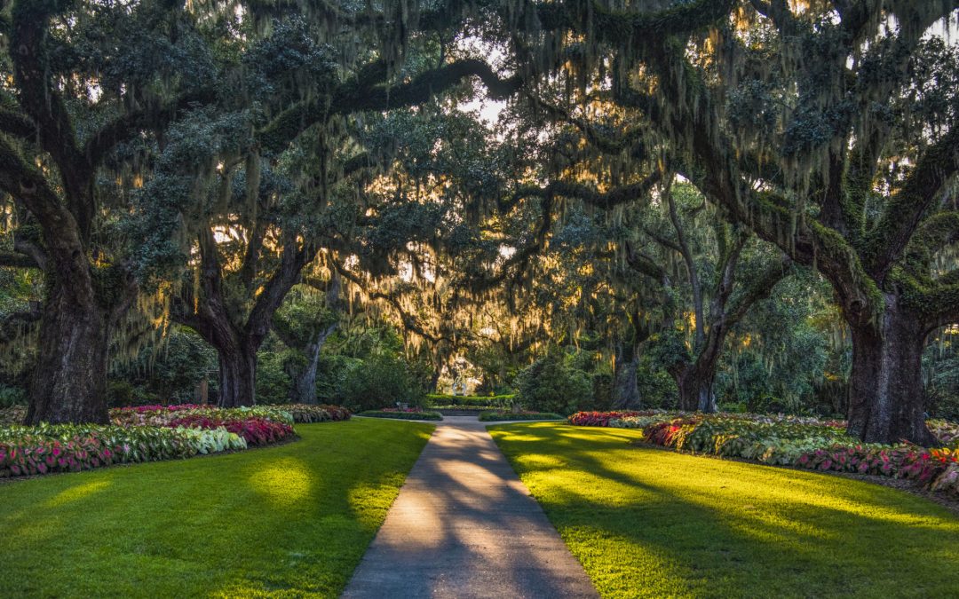 Honoring the Legacy of Georgia Bell Brown Walker: The Shining Light of Brookgreen Gardens